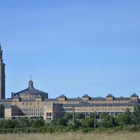 Albor II Gijon