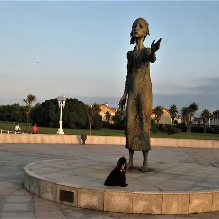 Albor Ii Affittacamere