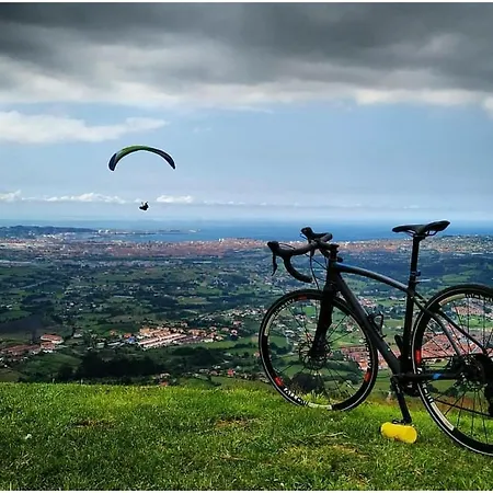 Albor Ii Affittacamere