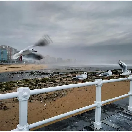 Albor Ii Affittacamere Gijón