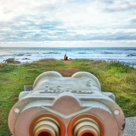 Albor Ii Affittacamere 2*