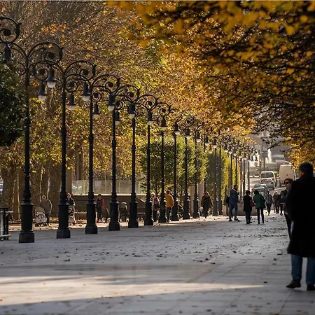 Albor Ii Affittacamere 2*